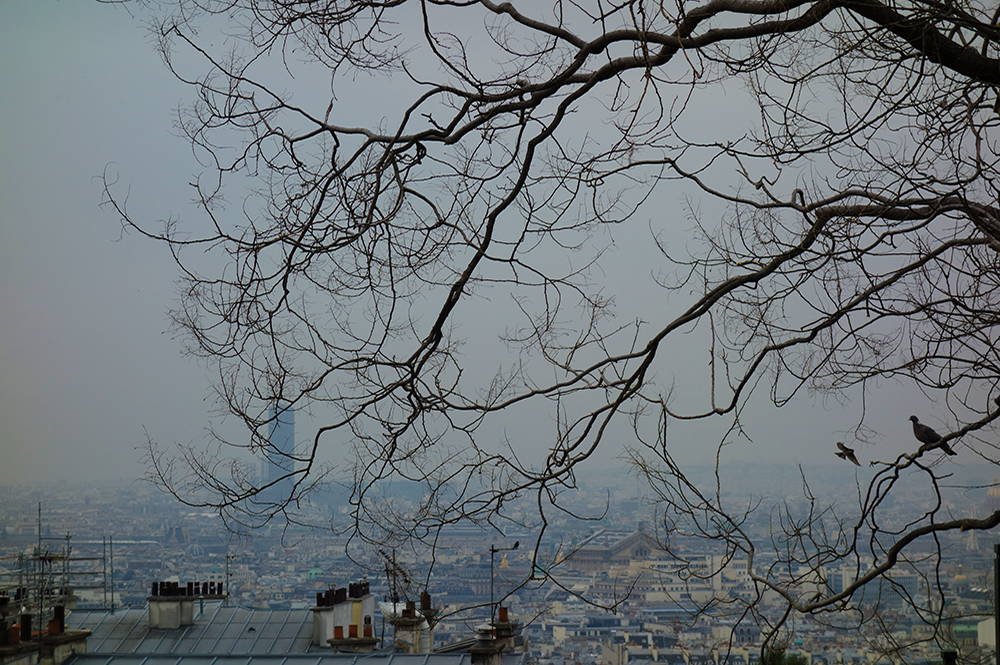 View of Paris from Montmartre