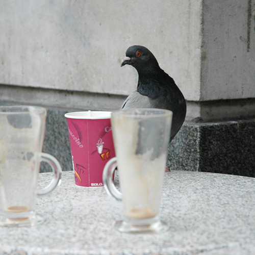 Café, London