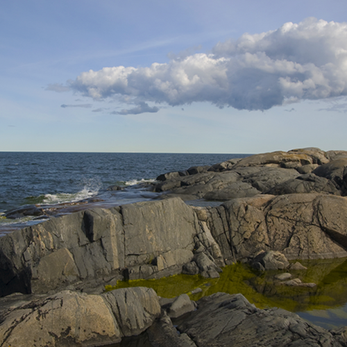 Rönnskärsudde, v