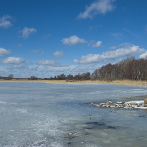 Skedviken
