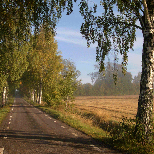 Autumn