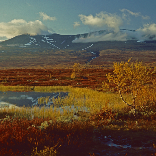 Sarek, Sweden
