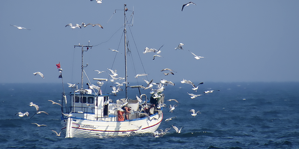 FISHING BOAT - Grisslehamn, Sweden